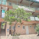 남이섬리버필드 | [강원/춘천] 7월 장마철 여행, 경강 레일바이크 근처 정보 및 픽업 펜션 추천 남이섬 리버필드