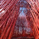 영월 Y파크(술샘박물관) 이미지