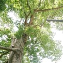 원평지마을회관 이미지