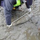 백령파출소 이미지