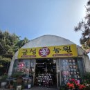 [오산꽃집 오산화환 오산꽃배달 오산꽃 오산화분] 금성꽃농원 꽃주문 재방문 만족후기