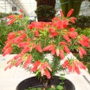 원터농장 이미지