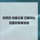 용산종합동물병원 이미지