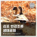 김포한강6로-L | <김포 한강 조류 생태공원> 망원렌즈로 새 촬영 RF100-500mm F4.5-7.1 L IS USM