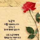 인생의 책 한권 이미지