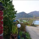 DMZ, 평화의 편지 이미지