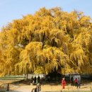 장수서창동-13 이미지