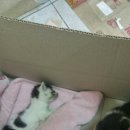 우리반점 이미지