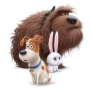 더 펫츠 이미지