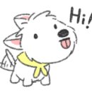 디스크독 연구소 이미지