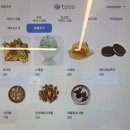 신사역 요거트 아이스크림 맛집 요고프로즌요거트 내돈내산 후기