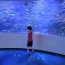 대신초교병설유치원 이미지