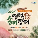 [산불피해 지역 지원] &#39;영덕송이장터 숲체험 부스운영 자원봉사자&#39; 모집 이미지