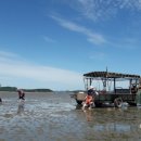 볼음저수지 이미지