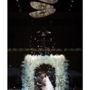 ᰔ W.4 윤이난다 대구 본식 스냅 계약 후기 (구성/견적/할인)