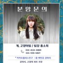 서산벤지 이미지