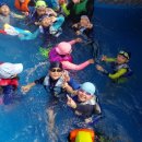 초아태권도장 이미지