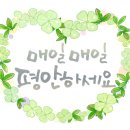 더우리들신경외과의원