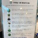 아름다운건강생활 | [평창] 거커리숲 - 건강한 삼잎국화베이글과 마더덕주스가 있는 평창 대형 카페 후기