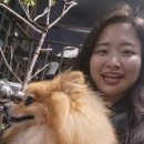 서울준동물병원 이미지
