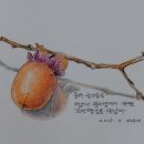 땡감