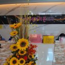 핑크리본외과의원 | 유방초음파 그리고 총생검 조직검사 [평택 핑크리본외과] 솔직 후기입니다~!!