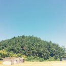 선소로4 이미지