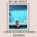 오치골농원 | 경남 주말 아이와 가볼만한곳으로 총정리