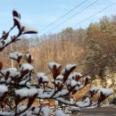 드리밍하우스 이미지