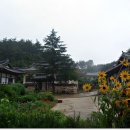 안동군자마을