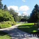 보타니칼 이미지