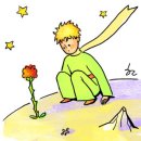 손안에 작은 꽃밭 이미지