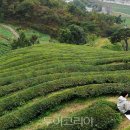 (주)아름관광여행사 - 청주시 청원구 | (주)아름관광여행사