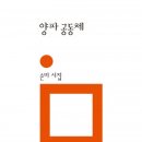 손미 시집 -『양파 공동체』(민음사, 2013) 이미지