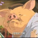 돼지보쓰