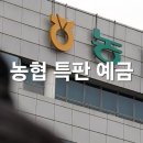 내면농협 방내지점 | 2026 농협 특판 고금리 예금 리스트 정리