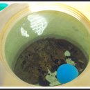 연동초등학교정문 이미지