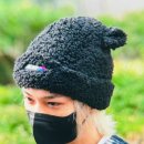 마이캣 이미지