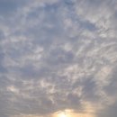 애견동반 밀양테마수영장 이미지