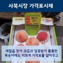 뽀삐네상회