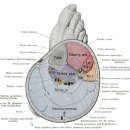 올인원피티앤테라피 이미지
