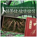칠봉산농원 이미지