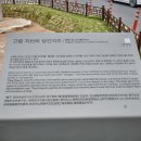 고령 관광안내소 이미지