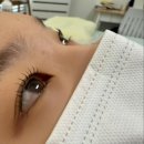 봉곡동물병원 | 전주대 근처 전주속눈썹펌 잘하는 곳, 티나살롱 속눈썹펌 솔직 후기