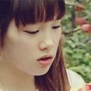 놀러와 Daum카페