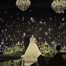 [공지] ❤️Wedding day❤️ 판교 더블트리 바이 힐튼 웨딩 본식 후기 최종 견적
