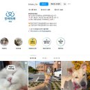 경기도 반려마루 화성 방문 후기 [반려묘, 사지말고 입양하세요]