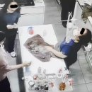 마음사랑 동물병원 이미지