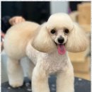 아르테미스학원 이미지