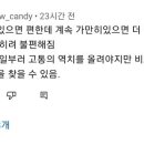 노빌레 이미지